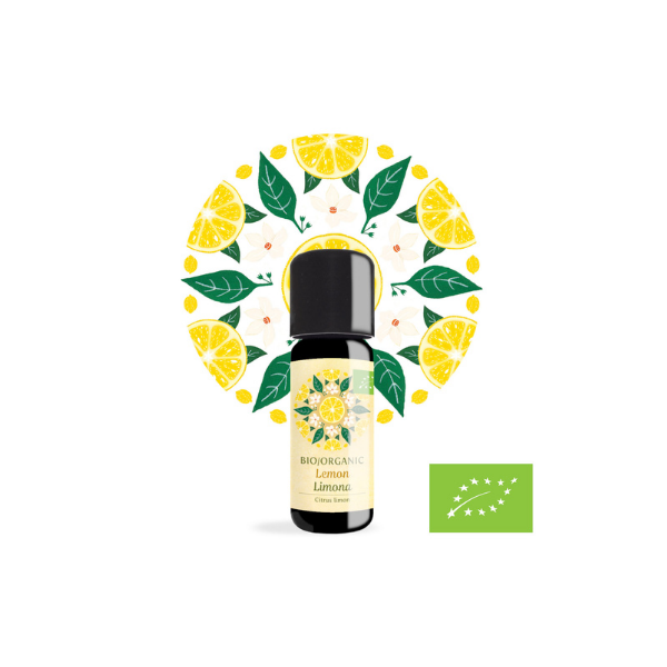 13v